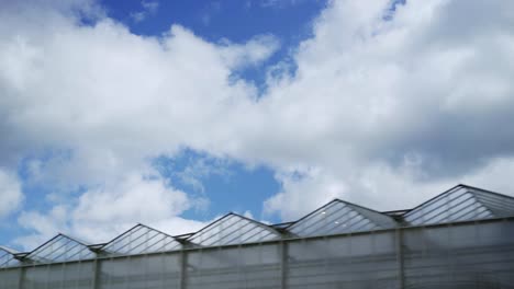 Tracking-shot-of-large-modern-greenhouse-roof-tops-and-sky-with-clouds-above-them