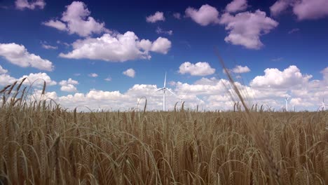 Cluster-of-wind-turbines-creating-clean-&-renewable-energy,