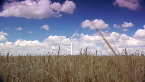 Cluster-of-wind-turbines-creating-clean-&-renewable-energy,