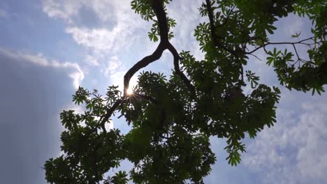 Sonne-Spike-Rundschreiben