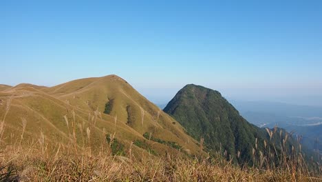 La-brisa-está-soplando-las-cañas-con-la-montaña-y-fondo-de-cielo-azul-en-otoño,-lenta.