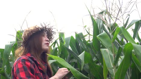 Cheerful-Asian-Farmer