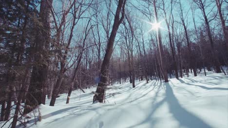 Slow-motion-sliding-view-of-snowy-winter-forest-and-human-footprints.-Sunny-day