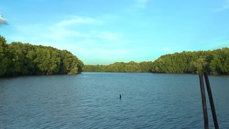 Mangroves-forest-at-Chanthaburi,-Thailand