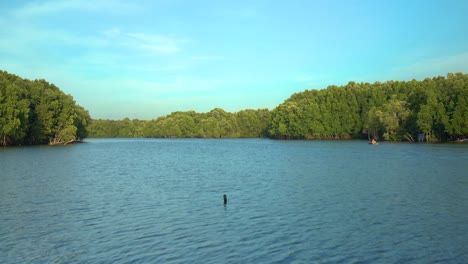 Bosque-de-manglares-en-Chanthaburi,-Tailandia