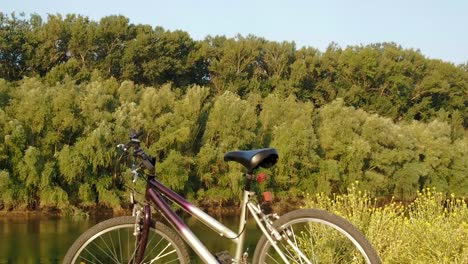 Fahrrad-in-der-Natur.