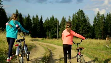 Dos-pequeñas-muchachas-con-bicicletas-paseando-por-la-carretera-rural