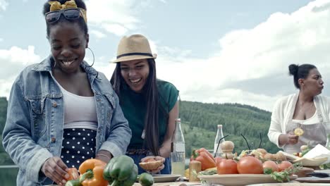 Sommer-Picknick-Vorbereitung