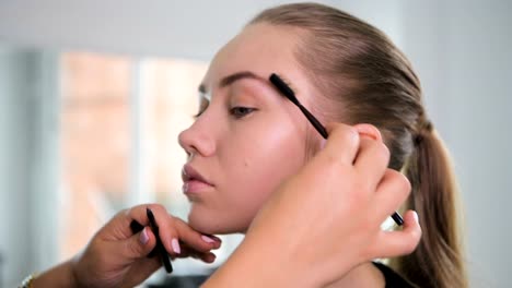 Professional-make-up-artist-combing-eyebrows-of-client.-Beauty,-visage-and-fashion-concept