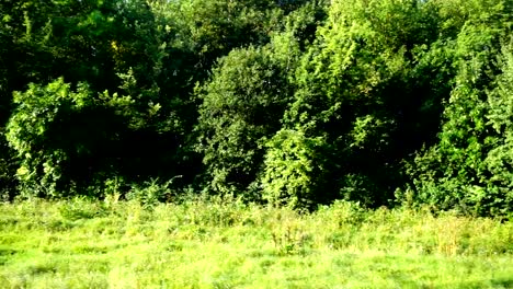 Landschaft-des-Landes.	Schießen-in-der-Bewegung.