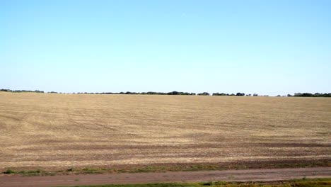 Agricultural-field.