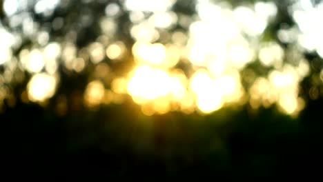 Sunset-and-beams-of-the-sun-through-trees.-Out-of-focus.