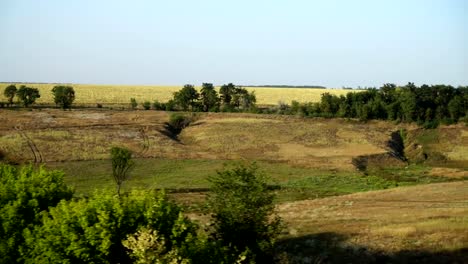 Landwirtschaftlich-genutzten-Feldern.-Schießen-in-der-Bewegung.