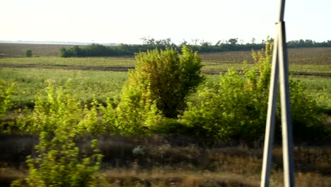 Agricultural-fields.-Shooting-in-the-movement.