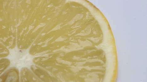 Lemon-Slice-Macro