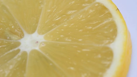 Lemon-Slice-Makro