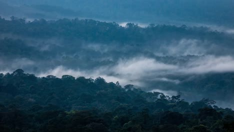 Nebel-der-Zeit-verfallen-im-Regenwald-Khao-Yai,-Thailand