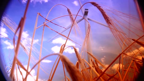 Cluster-of-wind-turbines-creating-clean-&-renewable-energy,