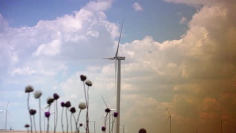 Cluster-of-wind-turbines-creating-clean-&-renewable-energy,