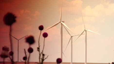 Cluster-of-wind-turbines-creating-clean-&-renewable-energy,