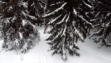 Nieve-que-cae-en-una-montaña-del-invierno-con-nieve-cubierto-árboles