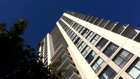 Movimiento-de-altura-del-edificio-y-que-hoja-del-árbol-contra-el-cielo-azul