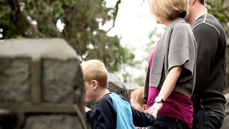 Eine-junge-Familie-hält-Hände-und-führt-durch-einen-park