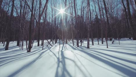 Slow-sliding-view-of-beautiful-snowy-winter-leafless-forest.-Bright-sunny-day