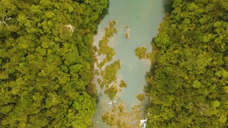 River-in-rainforest-Philippines,-Bohol