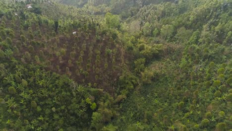 Berg-Landschaft-Ackerland-und-Dorf-Bali,-Indonesien