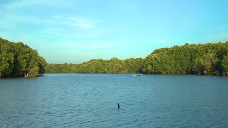 Bosque-de-manglares-en-Chanthaburi,-Tailandia