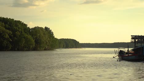 Bosque-de-manglares-en-Chanthaburi,-Tailandia