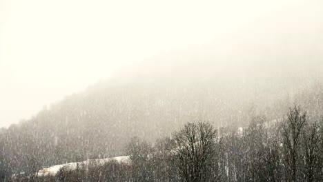 Starker-Schneefall-in-den-Bergen,-Schneewald,-Slow-Motion.