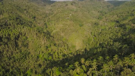 tropische-Landschaft-Regenwald-und-Berge