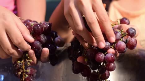 Grape-fruit-home-wine-processing-removing-fruit-from-stem