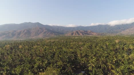 Paisaje-tropical-de-palmeras-y-montañas