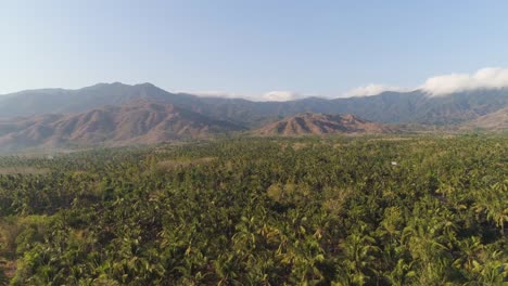 Tropische-Landschaft-mit-Palmen-und-Berge