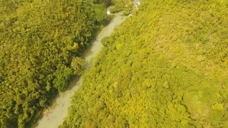 Río-en-la-selva-de-Filipinas,-Bohol