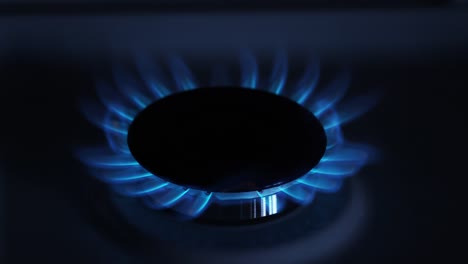 Gas-Stove-Burners,-Blue-Flame,-Real-Time-4K