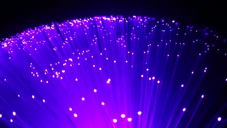 Detail-der-blau,-lila-violett-wachsenden-Reihe-von-optischen-Fasern-Hintergrund,-schnell-Lichtsignal-für-high-Speed-Internet-Anschluss,-Farbwechsel-von-blau-bis-violett-Flicker-Effekt