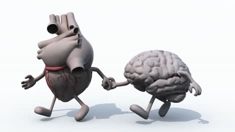 human-heart-and-brain-that-walk-hand-in-hand