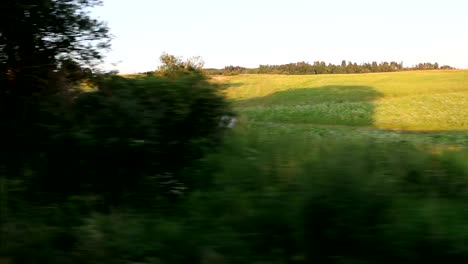 Fields-and-trees-passing,-looking-out-of-train-window