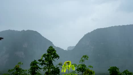 Zeitraffer-der-bewegte-Wolken-am-Himmel-über-tropischen-Regenwald-im-Regen-Tag