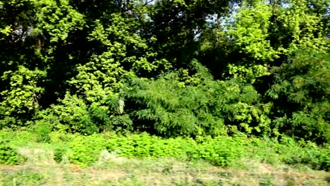 Landschaft-des-Landes.	Schießen-in-der-Bewegung.