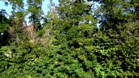 Landschaft-des-Landes.	Schießen-in-der-Bewegung.