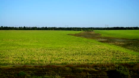 Agricultural-field.