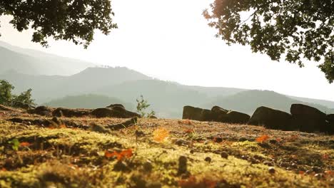 Eine-Berglandschaft-über-die-Sonne