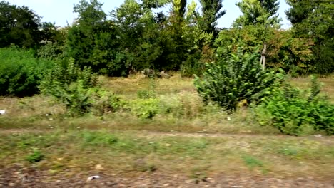 Village-and-kitchen-gardens.