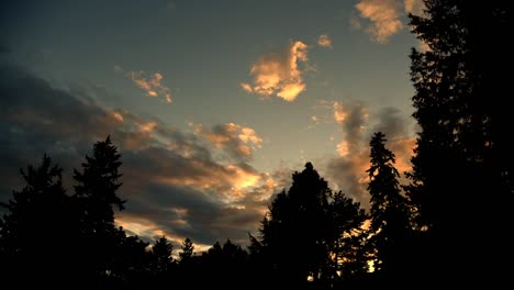 Sonnenuntergang,-dunkle-Wolken-über-Bäume-Zeitraffer