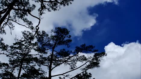 Nubes-mullidas-de-tiempo-lapso-de-blanco-en-el-fondo-de-cielo-azul